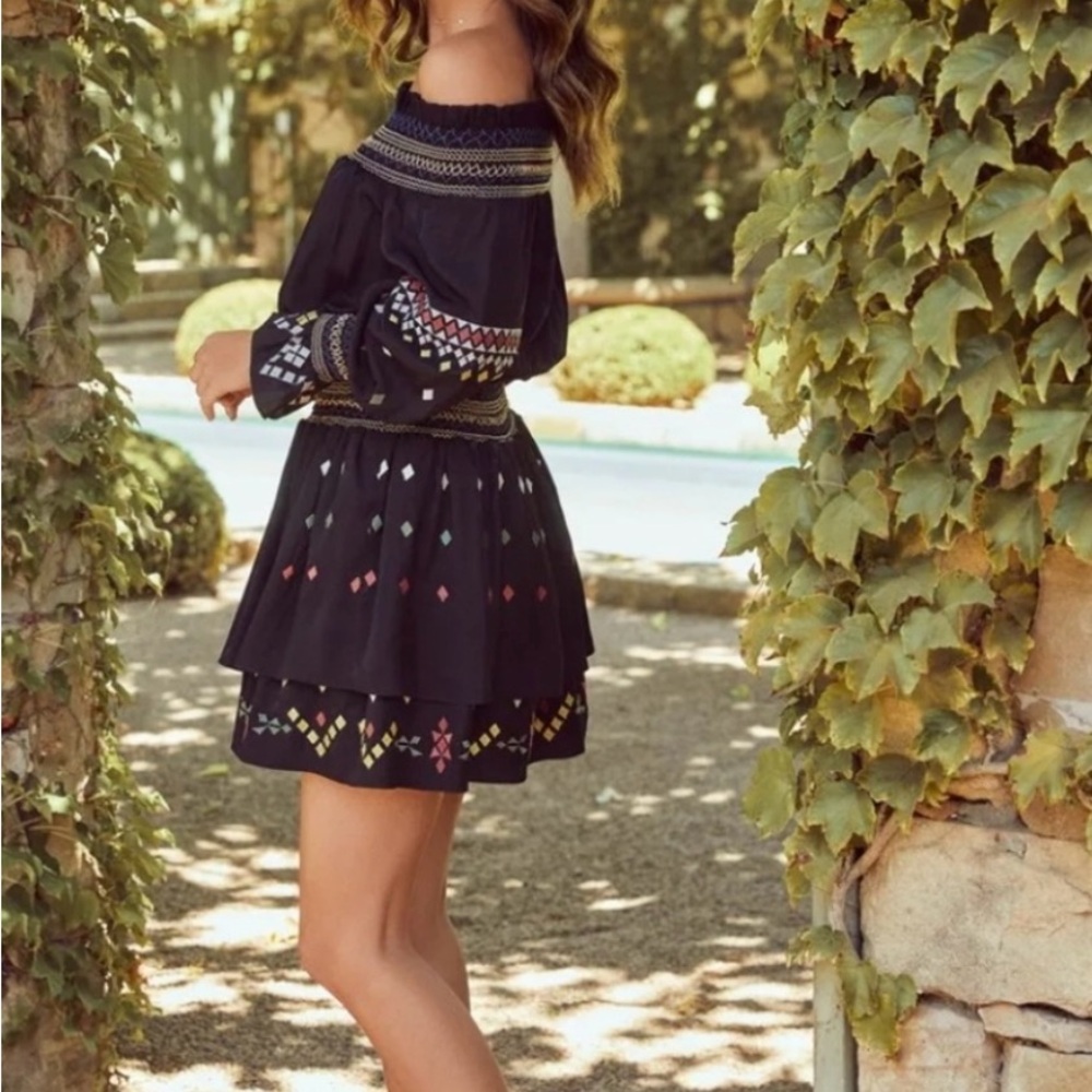 Vici Black Embroidered Mini Dress